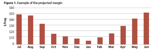 Figure 1: Example of the projected margin.