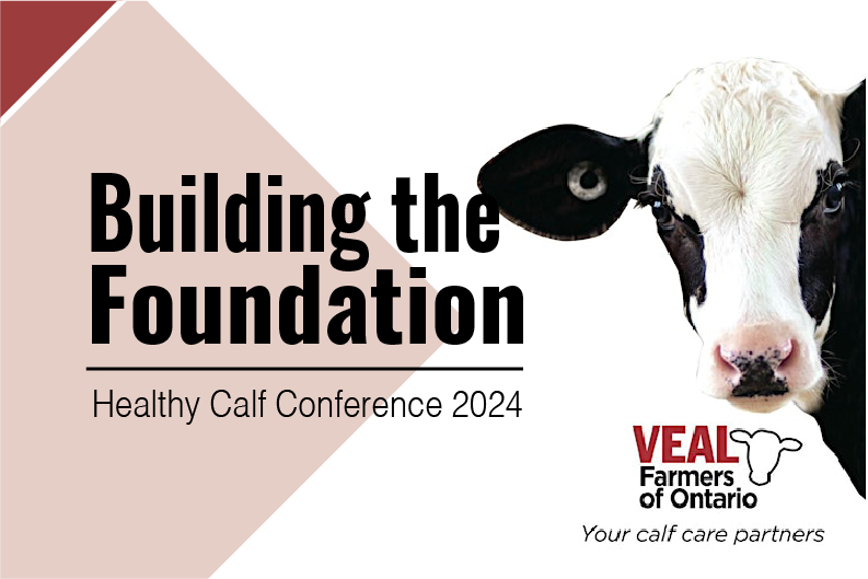 Building the Foundation | Healthy Calf Conference 2024